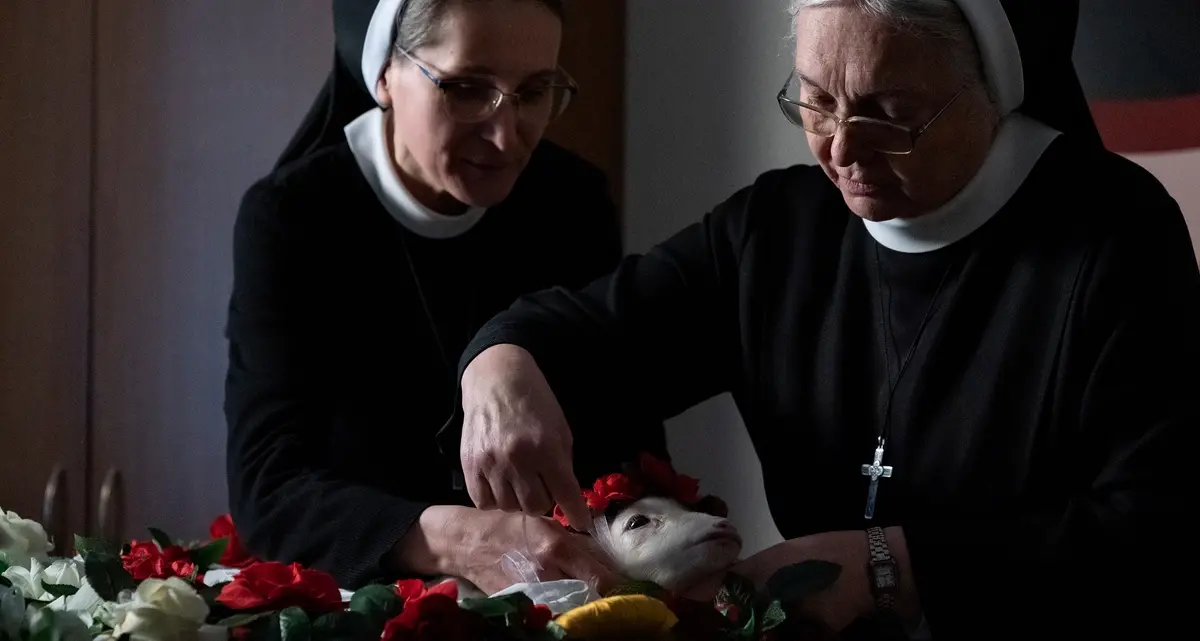 Agnus Dei, parla il regista Massimiliano Camaiti