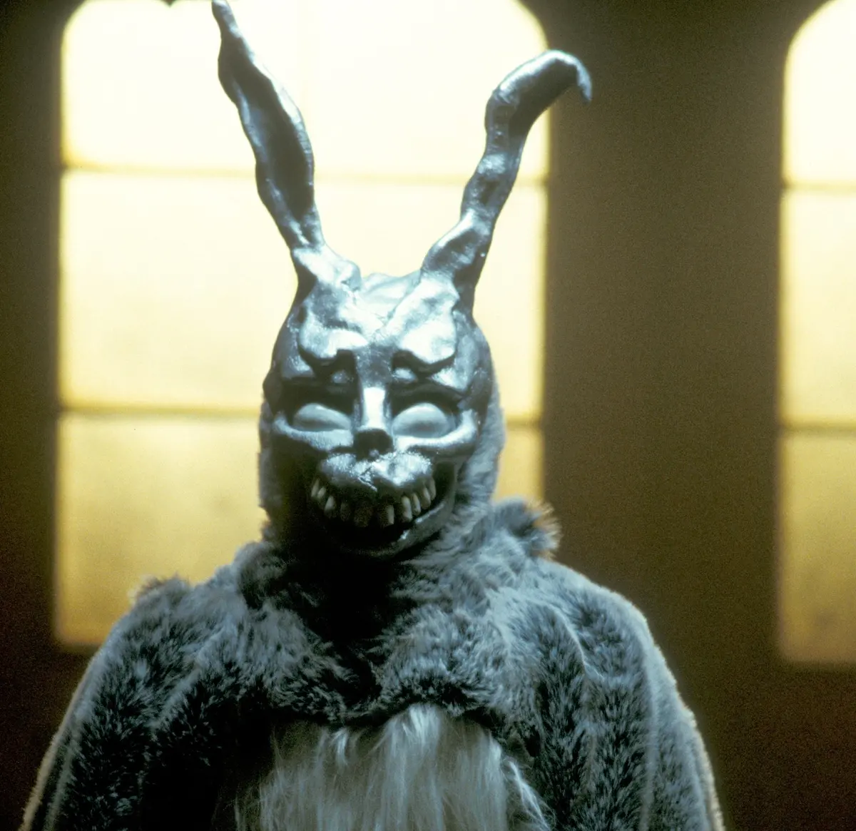 Donnie Darko - WEBPHOTO