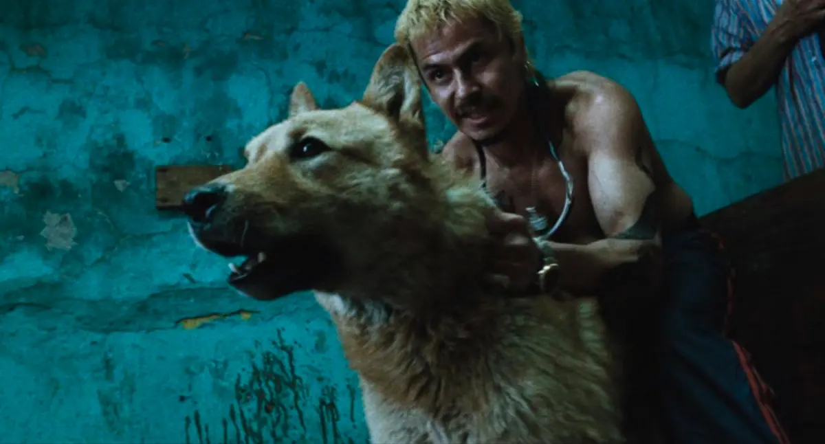 Amores Perros