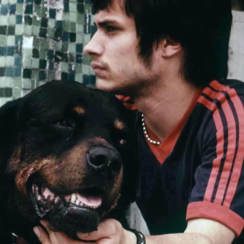 Iñárritu: “Sono felice che i cani di Amores Perros continuino ad abbaiare”