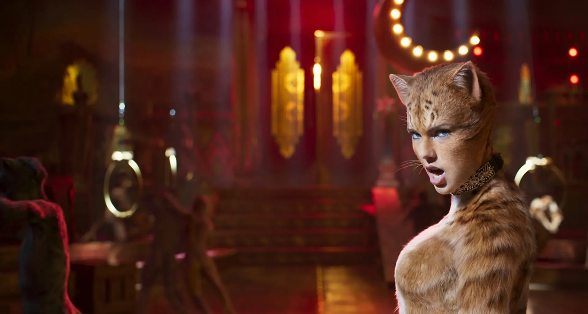 Cats