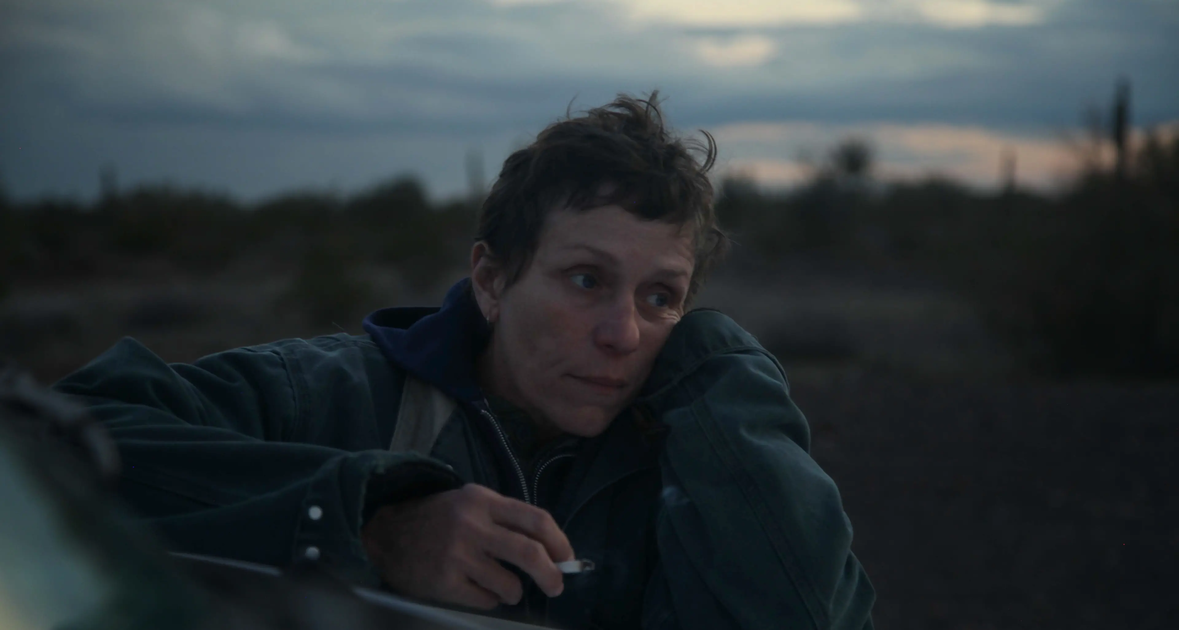 Box office, Nomadland in testa