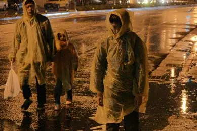 <i>Stray Dogs</i>