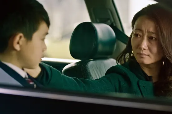Ancora Zhao Tao in Mountains May Depart
