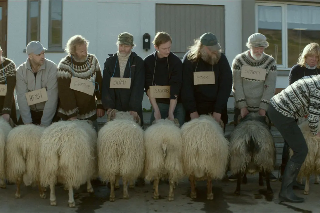 Rams