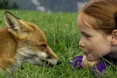 Una scena del film