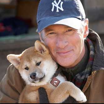 hachiko il tuo migliore amico scaricare