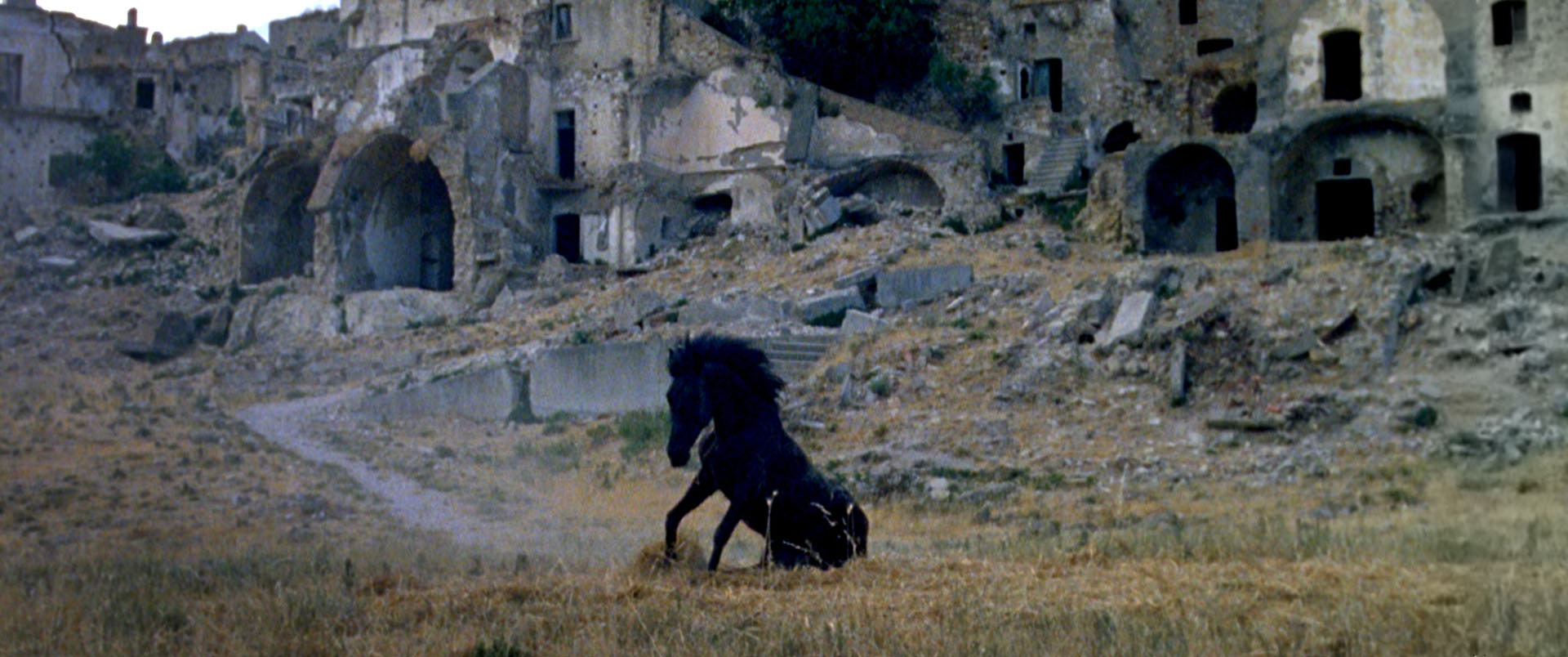 Montedoro - Cinematografo