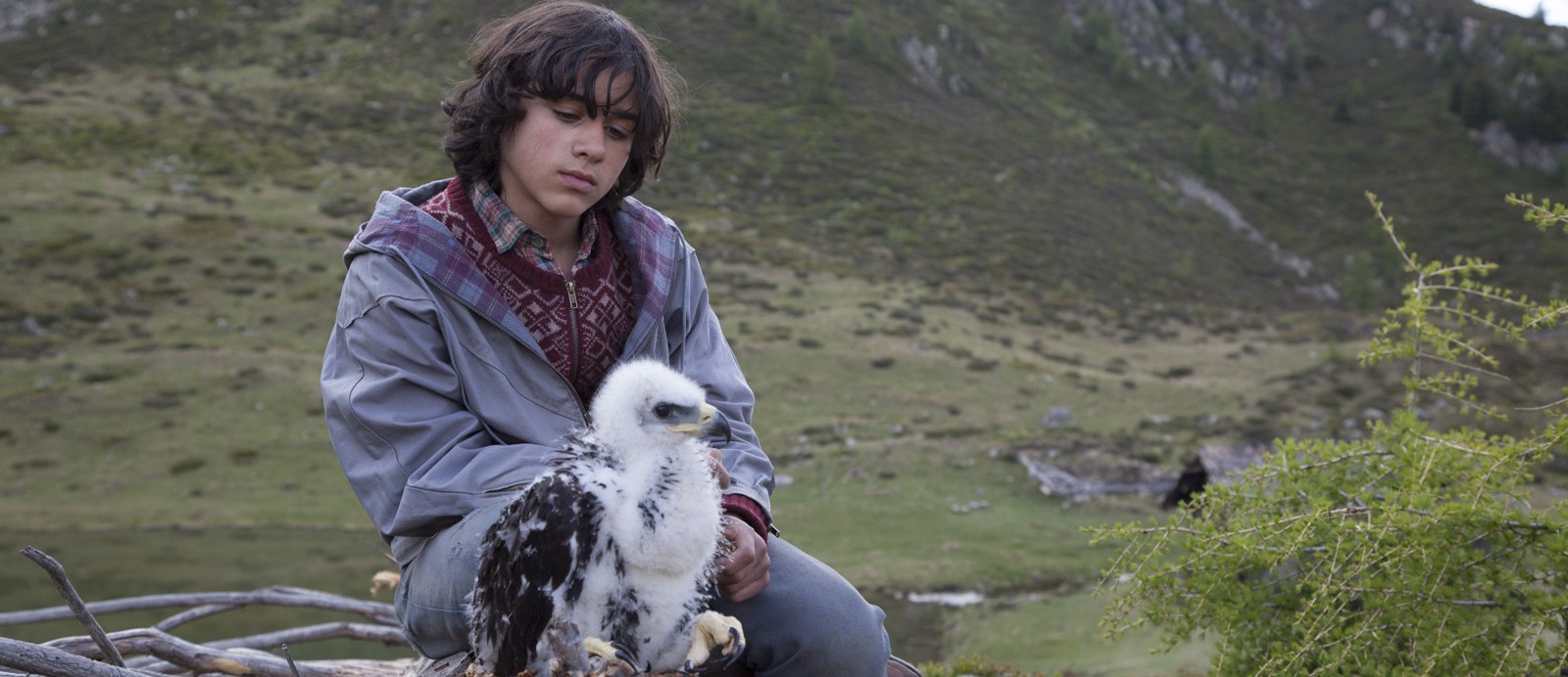 Abel Il Figlio Del Vento Cinematografo